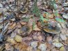 IMG_20171002_100602_HDR.jpg