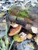 IMG_20171017_123516.jpg