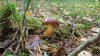 20171021_133405.jpg