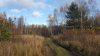 20171021_142657.jpg