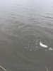 IMG-20171027-WA0013.jpg