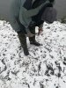 IMG-20171027-WA0016.jpg