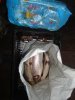 15_dsc06760.jpg
