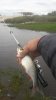 20170925_141347.jpg