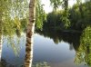 P1010009.jpg