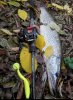IMG-20171115-WA0021.jpg