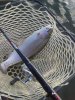 FB_IMG_1510803444540.jpg