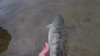 DSCF7357.JPG