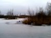 IMAG2164_1.jpg