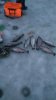 IMG-20180101-WA0014.jpg
