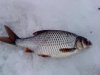 DSC00022.jpg