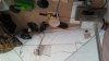 20170402_123458.jpg