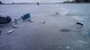 IMG_20180115_110513.jpg