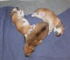 DSCF2263.JPG
