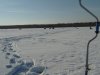 IMG_20180210_132729.jpg