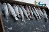 DSC_0128.jpg