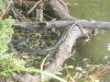 DSCN0491.jpg