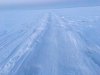 IMG_4506.jpg
