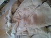 20180306_171941.jpg