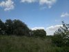 2012-09-19-469.jpg