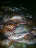 230820121121.jpg