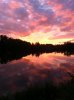 IMG_0583.jpg