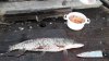 20180328_165507.jpg