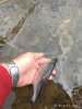 rps20180427_171520.jpg