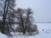 CIMG0401.JPG