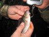 IMG_3543.jpg