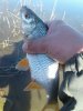 0_20180508_083312.jpg