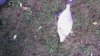 IMG_20160708_073156.jpg