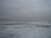 IMG_0038.jpg
