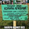 наши комары лечебные.jpg