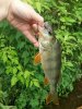 20180613_104322.jpg