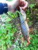 20180603_125819.jpg