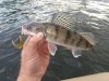 20180613_182845.jpg