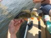 20180621_092124.jpg