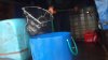 DSCF0820.packed.jpg