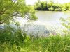 IMG_1862.jpg