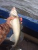 IMG-20180607-WA0001.jpg