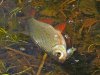 DSCN3979.jpg