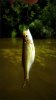 112423-picsay.jpg