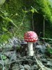 телефон 048.jpg