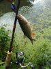 IMG-20180717-WA0033.jpg