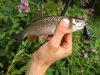 IMG-20180717-WA0048.jpg