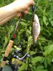 IMG-20180717-WA0043.jpg