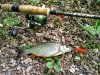 IMG-20180717-WA0042.jpg