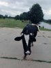 IMG_20180721_122259.jpg