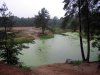 DSCN4192.jpg